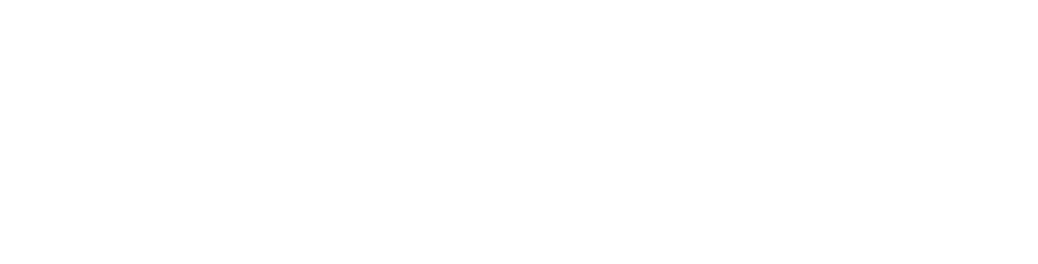 Polygone Studio